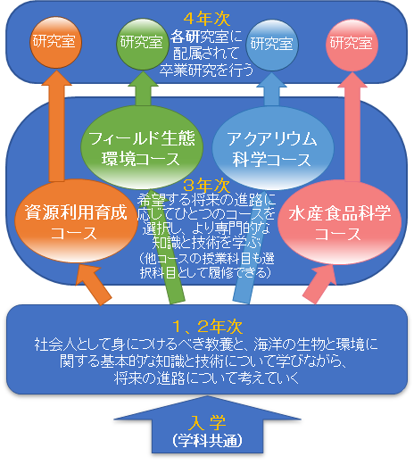 コース紹介 生命工学部 福山大学