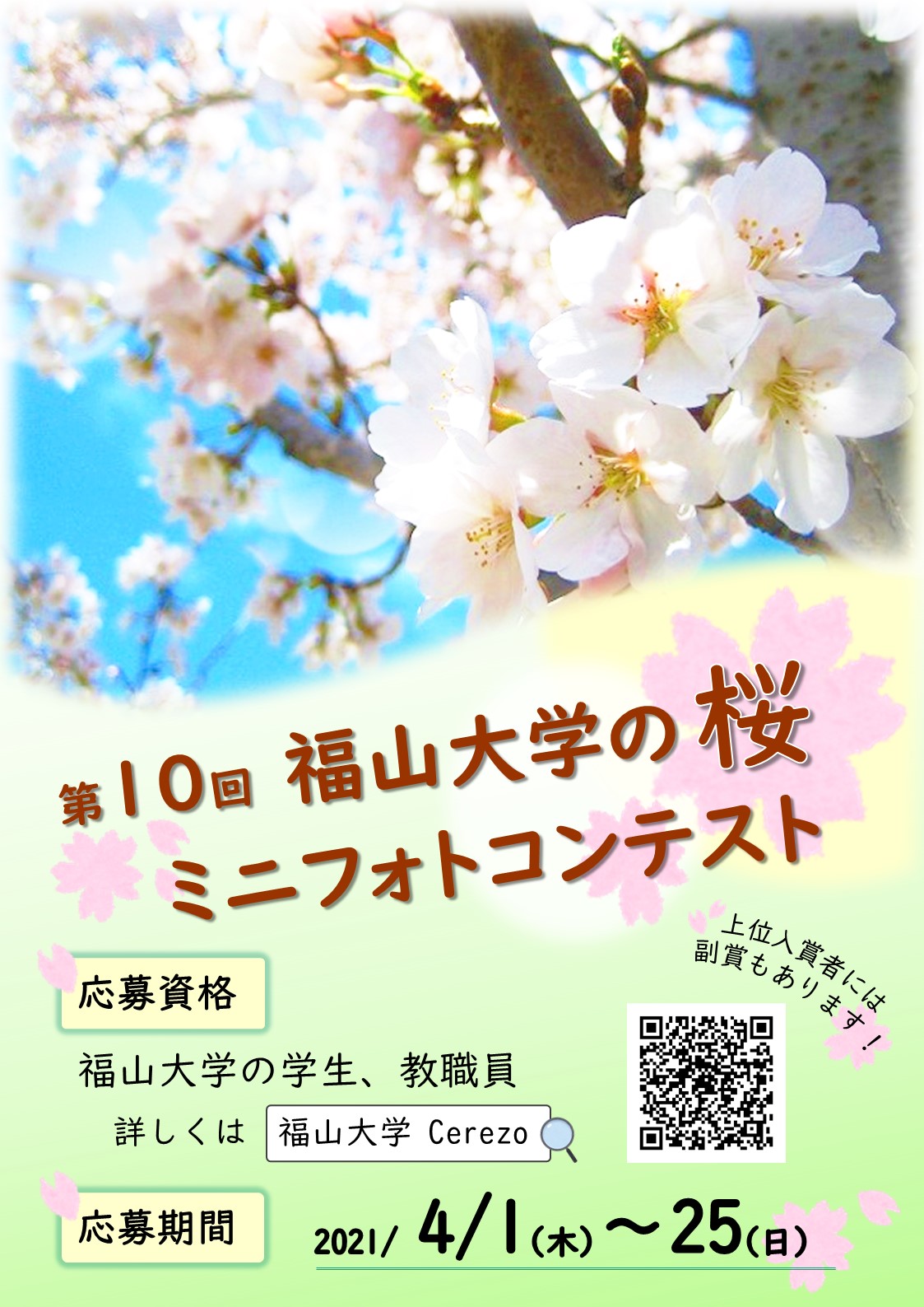 学生課 第10回 福山大学の桜 ミニフォトコンテスト開催 福山大学