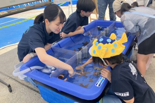 海洋生物科学科Fukudai Magまとめ２ 