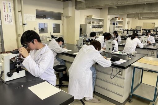 アクアリウム科学実習（２）「魚病診断学実習・組織切片の作成と観察」 