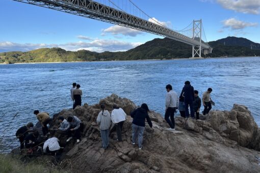 海洋基礎実験　海岸の生物の観察