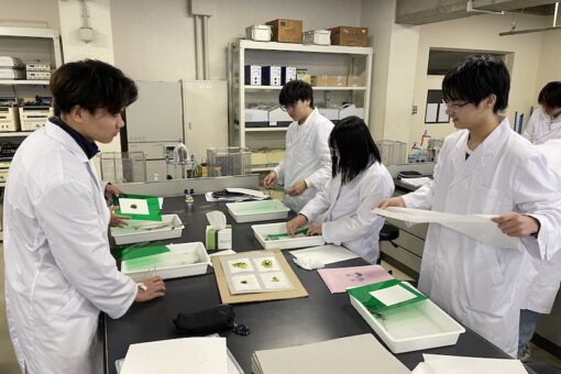 海洋基礎実験「海藻類の形態観察と標本作製」